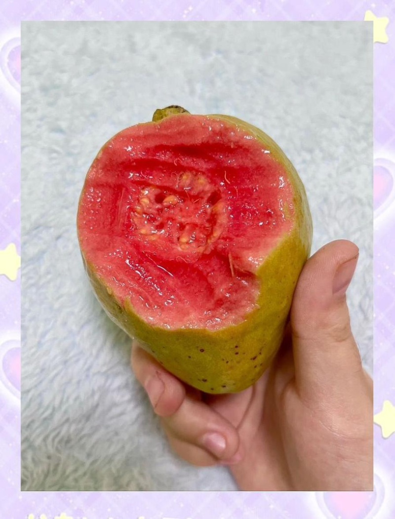 红心软芭乐红宝石番石榴热带水果新鲜上市大量供应可谈