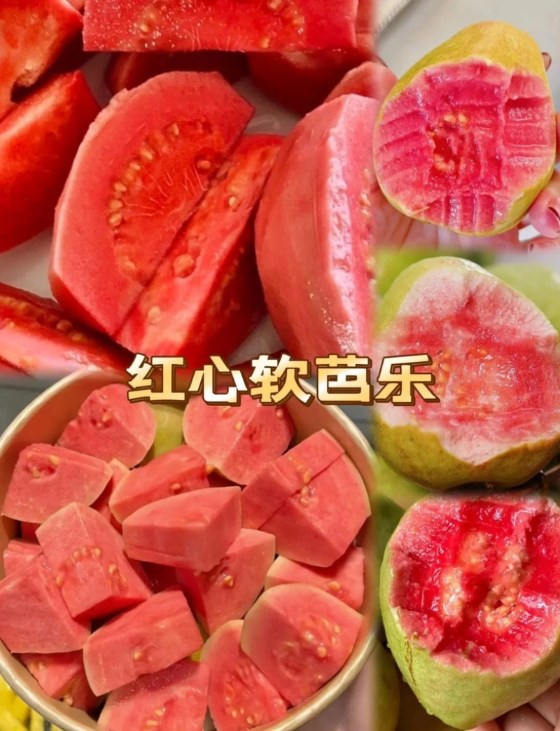 红心软芭乐红宝石番石榴热带水果新鲜上市大量供应可谈