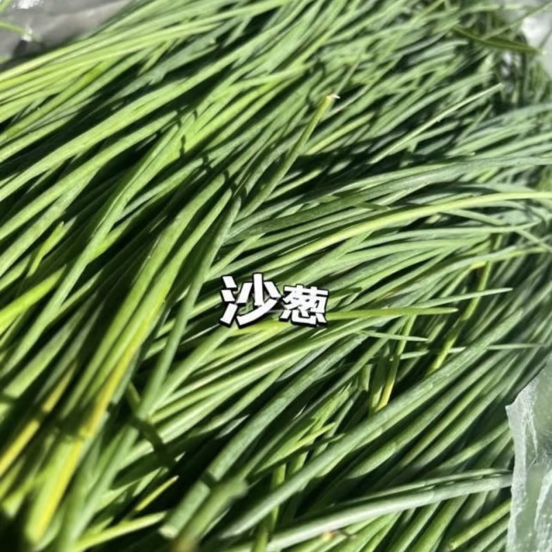 精品甘肃沙葱大量供应货源充足，量大从优，欢迎咨询