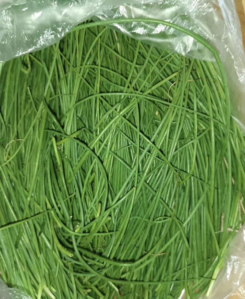 精品甘肃沙葱大量供应货源充足，量大从优，欢迎咨询