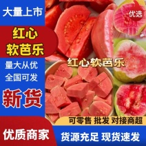红心软芭乐红宝石番石榴热带水果新鲜上市大量供应可谈