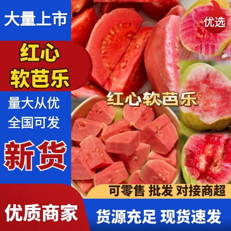 红心软芭乐红宝石番石榴热带水果新鲜上市大量供应可谈