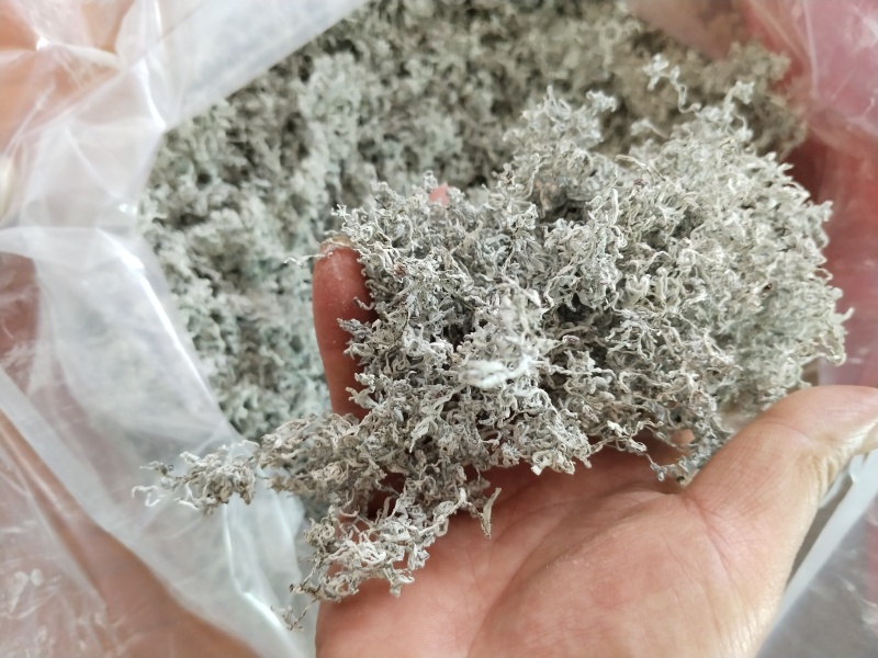 张家界高山紫金莓茶。