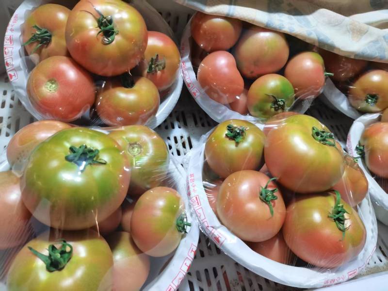 山东精品草莓西红柿产地直发品质保证量大从优一手货源