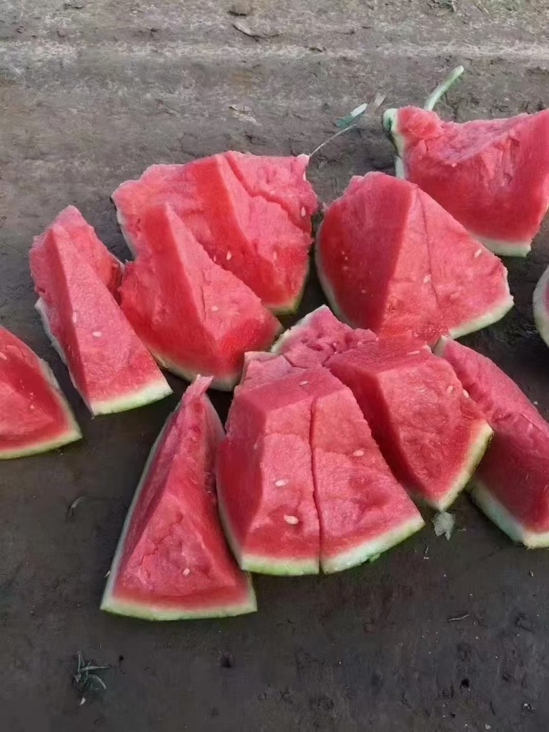 精选陕西美都西瓜无籽西瓜麒麟西瓜产地直发皮薄糖度高