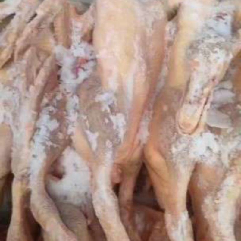 一级黄皮全鸭