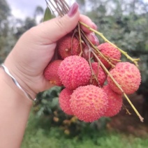 粉红色，桂味，带着花香徐部步前来