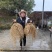 牛尾菜苗，牛尾蕨，龙须蕨，蕨菜种苗，基地供货，质量保证
