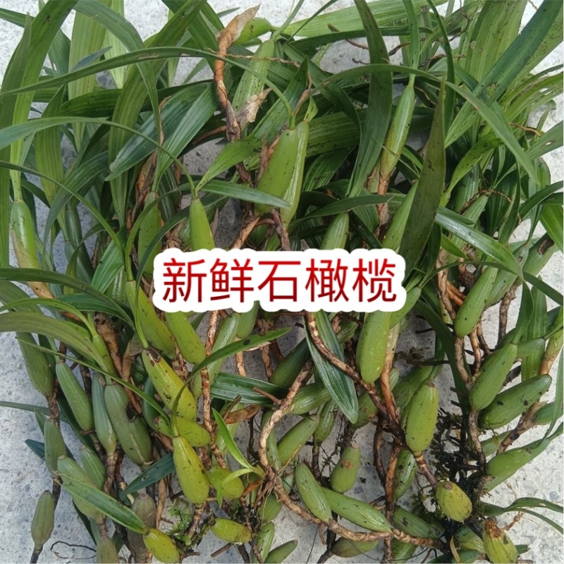 大果石橄榄仙桃果跑展会地摊电商新鲜石橄榄石仙桃仙桃果