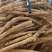 新鲜牛大力地摊电商批发新鲜次牛小牛中统大统圆牛牛大力