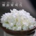 特级广西茉莉花茶雪球花苞茉莉花干花泡茶茶叶罐装冷泡水喝的