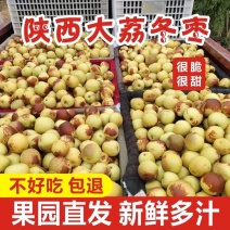 正宗大荔冬枣新鲜孕妇水果当季脆枣鲜枣青栆特大果整箱2.7斤批