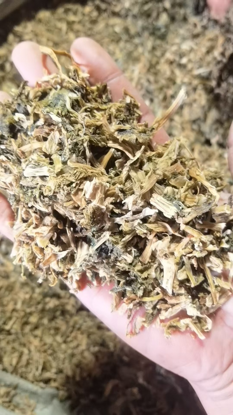 雪里蕻梅干菜喷香货源充足一手货源量大从优诚信经营欢迎咨询