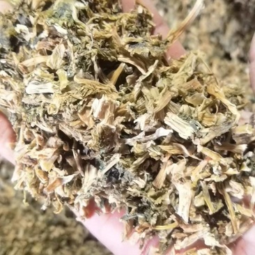 雪里蕻梅干菜喷香货源充足一手货源量大从优诚信经营欢迎咨询
