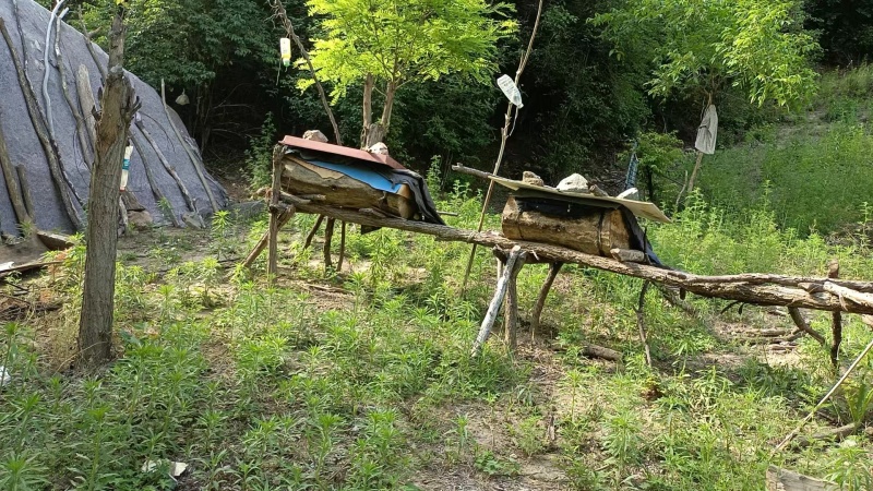 陕西秦岭土蜂蜜干净卫生承接加工批发社区团购直播带货