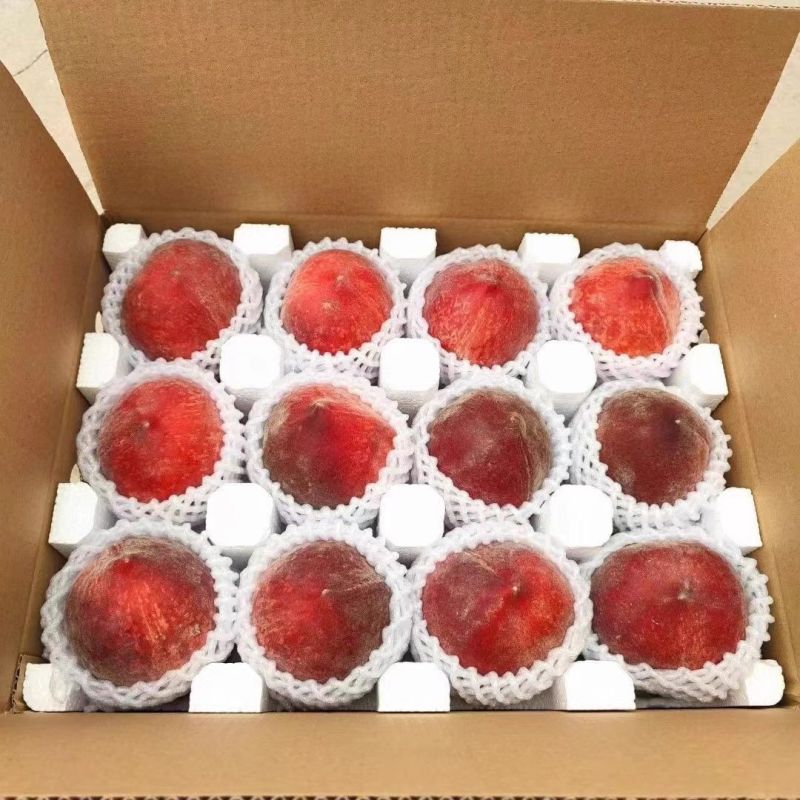 蒙阴血丝蜜桃一件代发春雪水蜜桃一件代发4.5斤包邮包售后