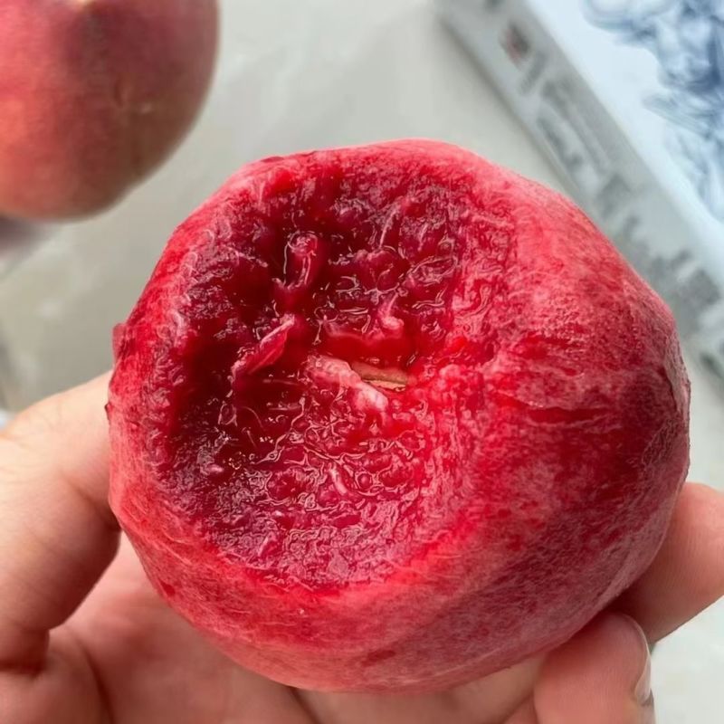 蒙阴血丝蜜桃一件代发春雪水蜜桃一件代发4.5斤包邮包售后