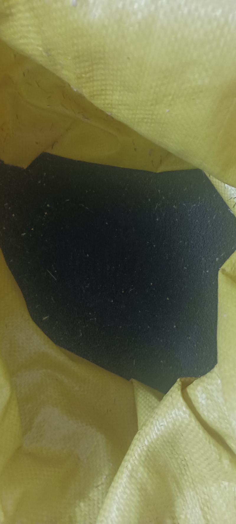 今年新湖北油菜籽，含油43个