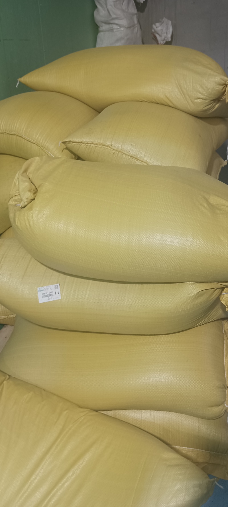 今年新湖北油菜籽，含油43个