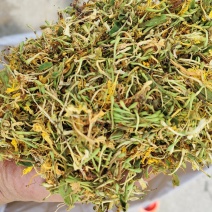 贵州省安龙县正宗纯野生金银花无硫自然晒干大开花