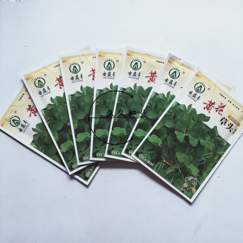 黄花草头金花菜种子上海大叶草头食用苜蓿野菜秋季播三叶草菜