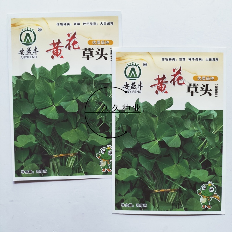 黄花草头金花菜种子上海大叶草头食用苜蓿野菜秋季播三叶草菜