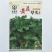 黄花草头金花菜种子上海大叶草头食用苜蓿野菜秋季播三叶草菜