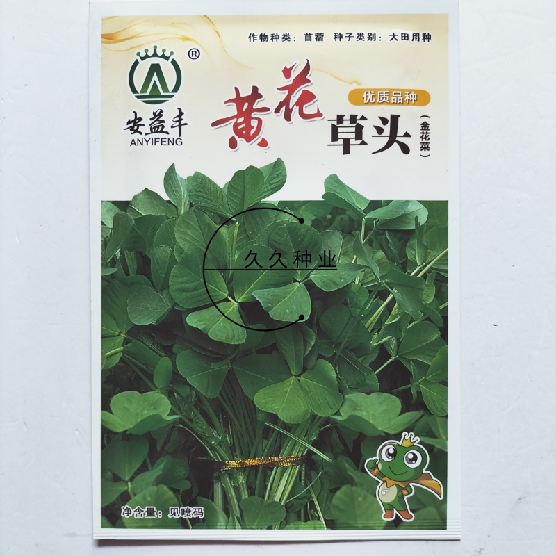 黄花草头金花菜种子上海大叶草头食用苜蓿野菜秋季播三叶草菜