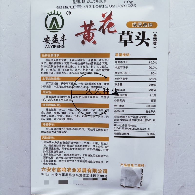 黄花草头金花菜种子上海大叶草头食用苜蓿野菜秋季播三叶草菜