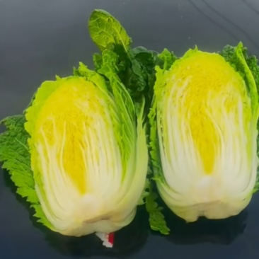 【每日推荐】贵州威宁黄心大白菜、精品系列，欢迎订购。