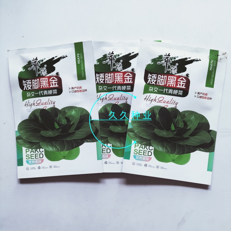矮脚黑金杂交一代青梗菜种子束腰耐寒青菜种籽口感好四季蔬菜