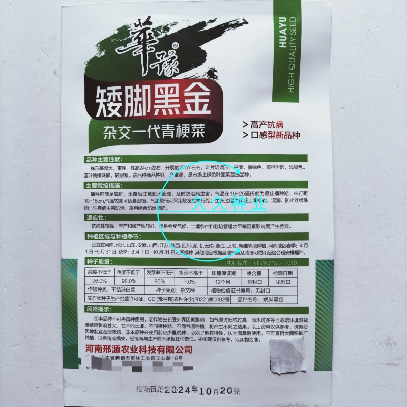 矮脚黑金杂交一代青梗菜种子束腰耐寒青菜种籽口感好四季蔬菜