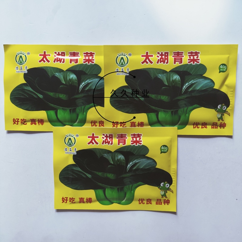 太湖青菜种子高产优质矮箕大头束腰苏州青种籽青梗菜四季蔬菜