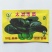 太湖青菜种子高产优质矮箕大头束腰苏州青种籽青梗菜四季蔬菜