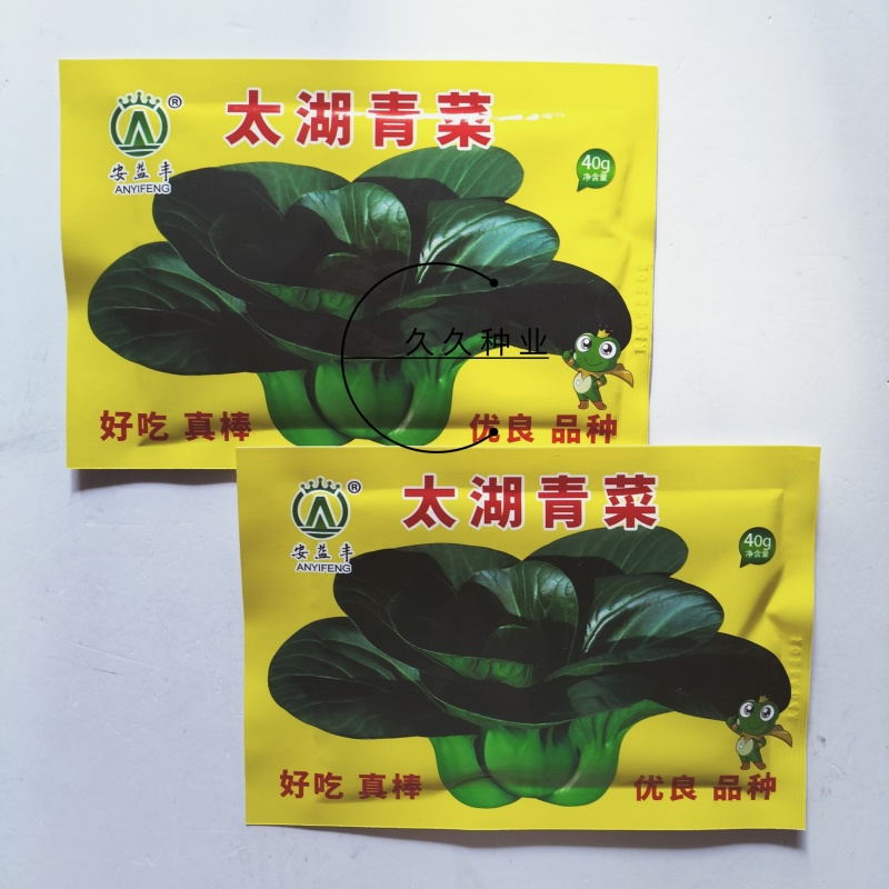 太湖青菜种子高产优质矮箕大头束腰苏州青种籽青梗菜四季蔬菜