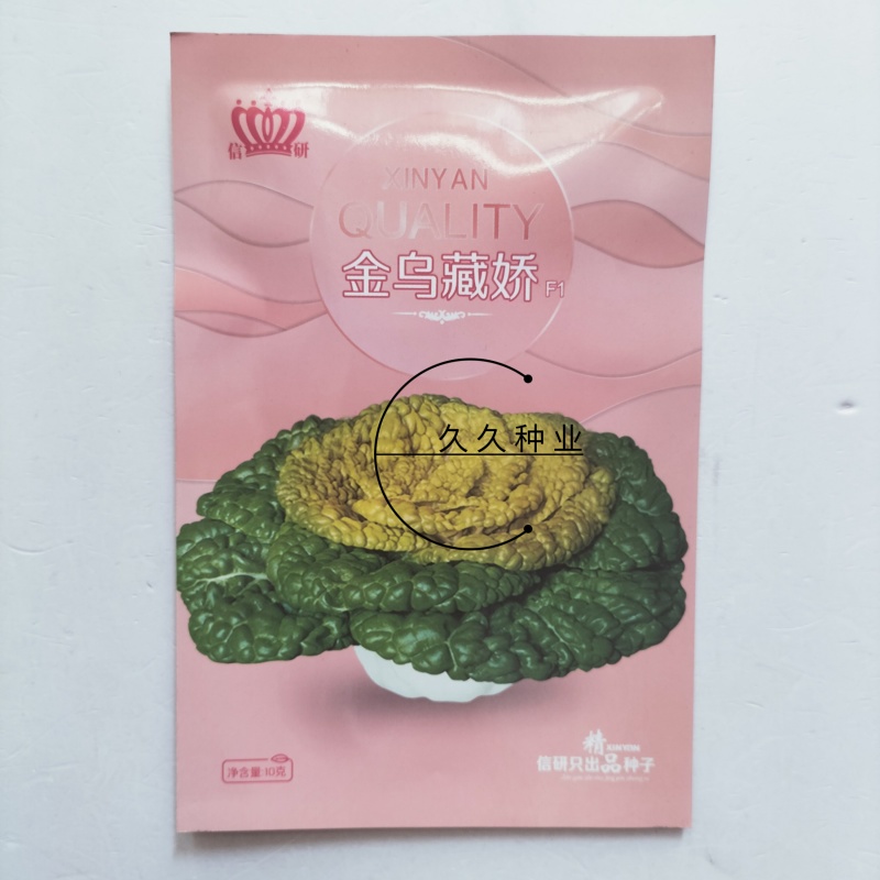 信研金乌藏娇乌塌菜种子半结球白菜黄心菜种籽矮脚乌秋播高产