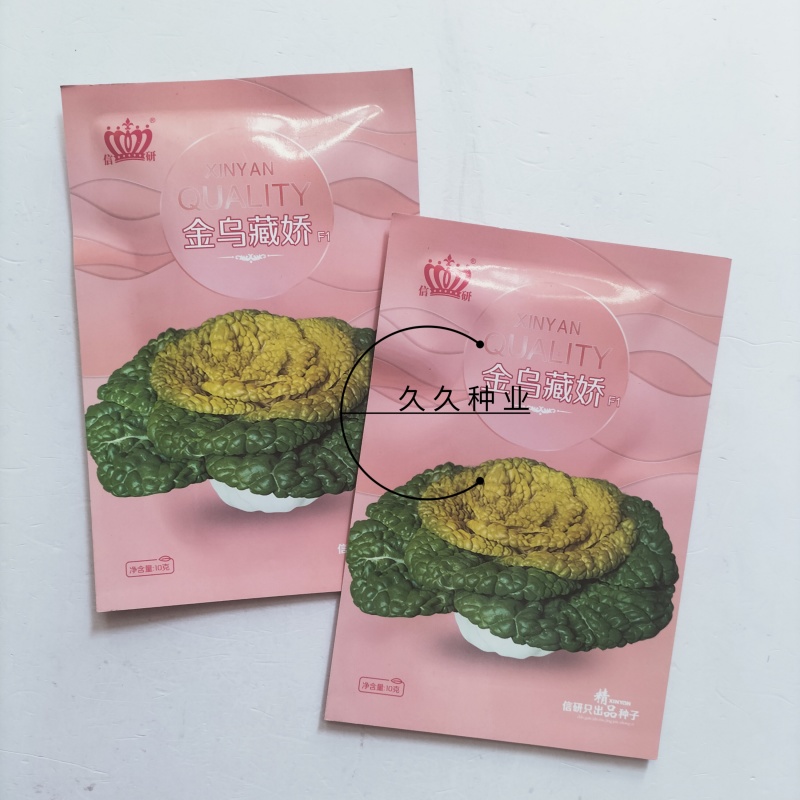 信研金乌藏娇乌塌菜种子半结球白菜黄心菜种籽矮脚乌秋播高产