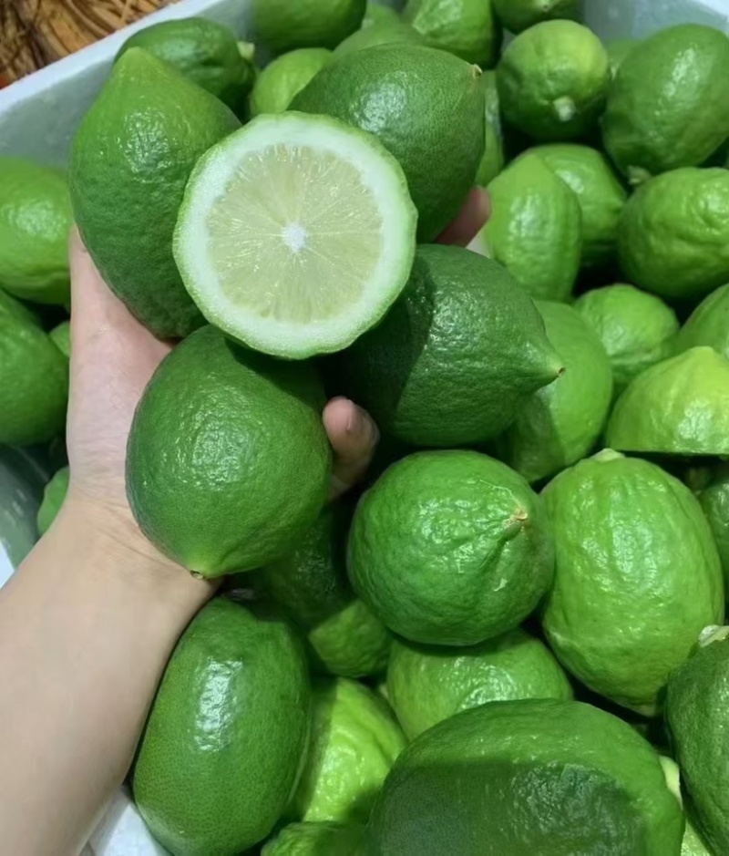 广东香水柠檬