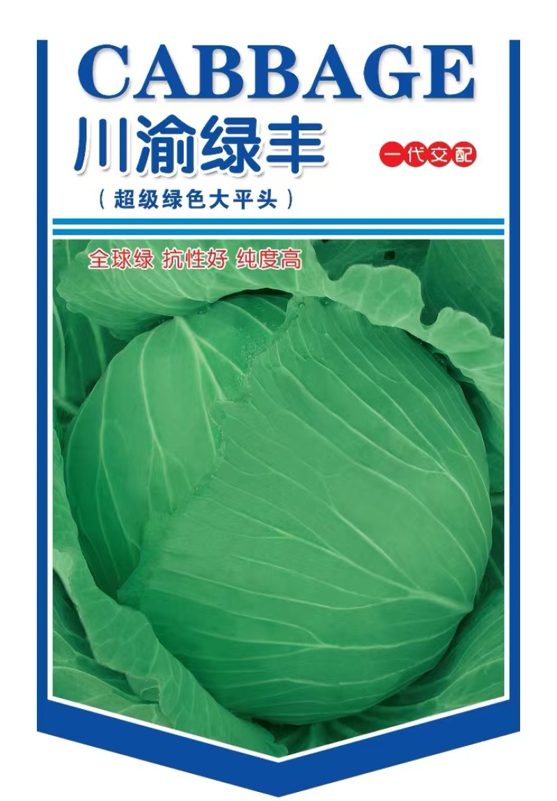 甘蓝种子川渝绿丰油绿大平头无腊粉春秋越冬产量高脆甜