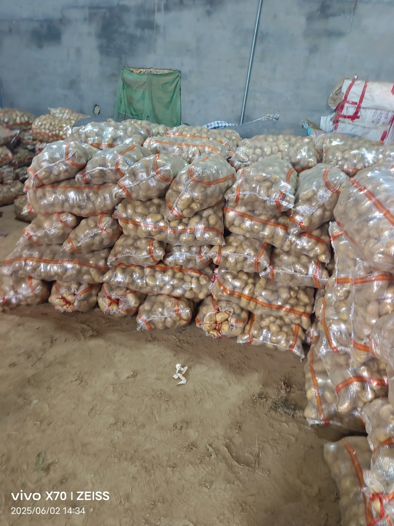 土豆荷兰十五土豆，大量有货，全国发货，量大价格从优