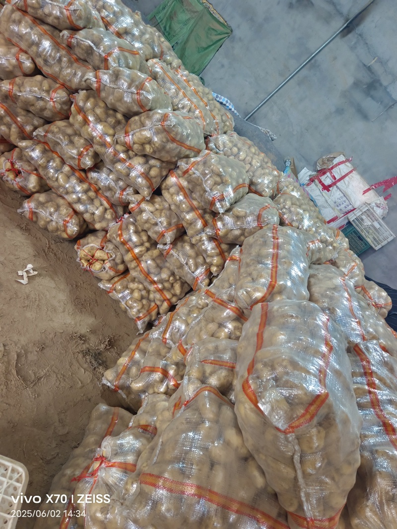 土豆荷兰十五土豆，大量有货，全国发货，量大价格从优