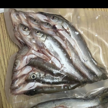 小白条冰鲜