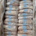 猪大肚去油一箱25一27个颜色白新货