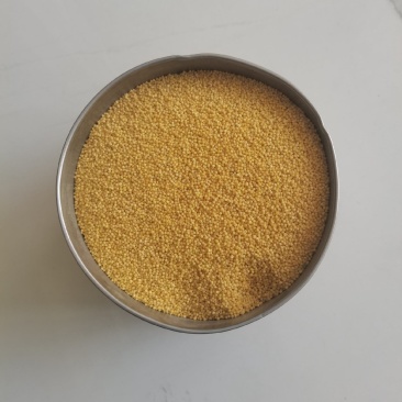 山西朔州农家自种小米