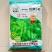 毛豆种子极早熟50天高产青豆菜种子春季蔬菜种子特早王菜豆