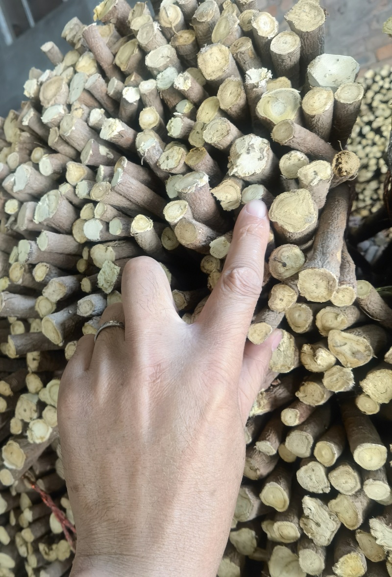 甘草，乌拉尔红皮甘草出口标准头径1.5/2.0尾径0.8