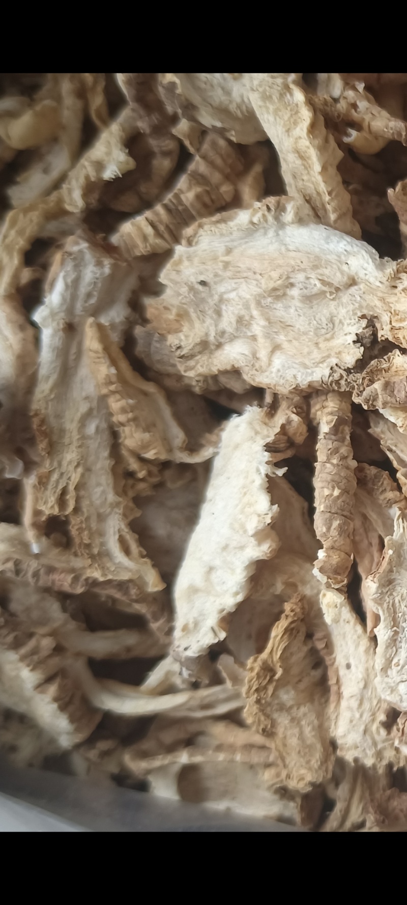 四叶参片