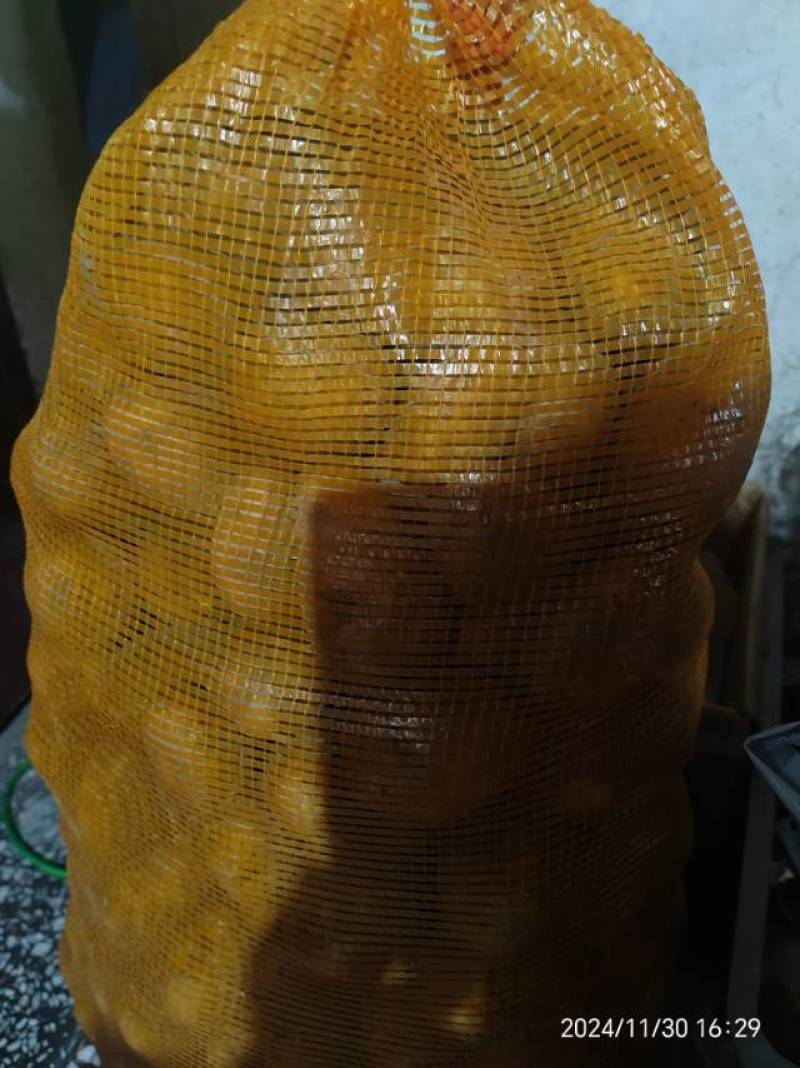 贵州高山***黄心土豆