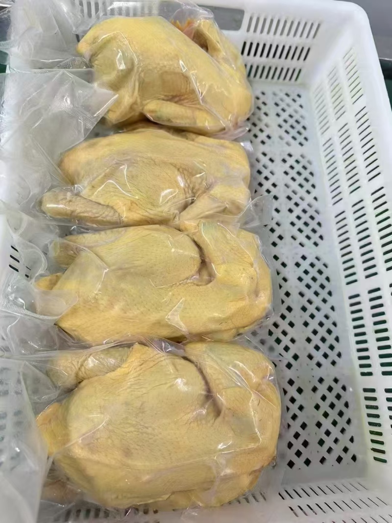 真空包装黑凤大公鸡三斤装带鸡胗鸡腰电商用