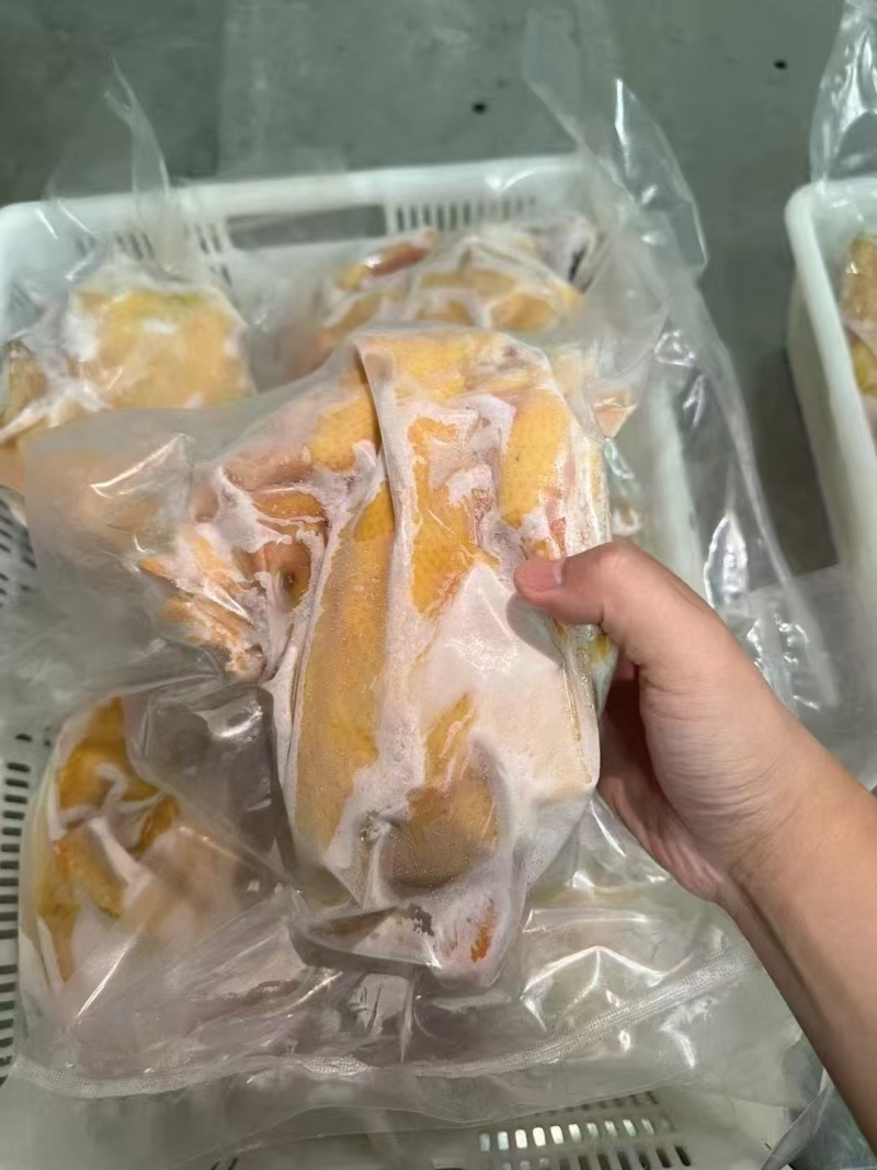 真空包装黑凤大公鸡三斤装带鸡胗鸡腰电商用